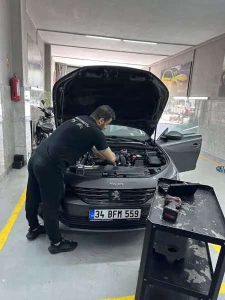 Peugeot motor kontrolü