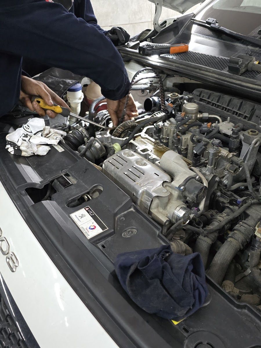 PSA motor revizyonu